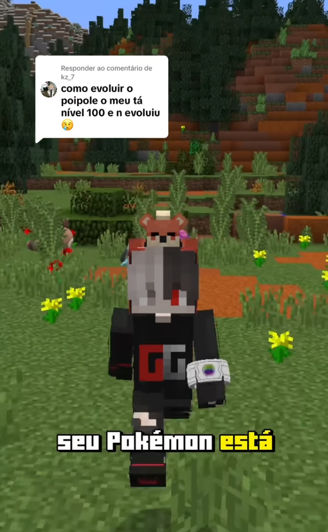 Trainer in the field facing a wild Pokémon